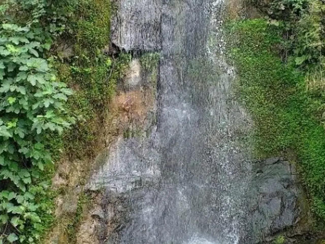 Karadeniz Sahil Yolu - 1