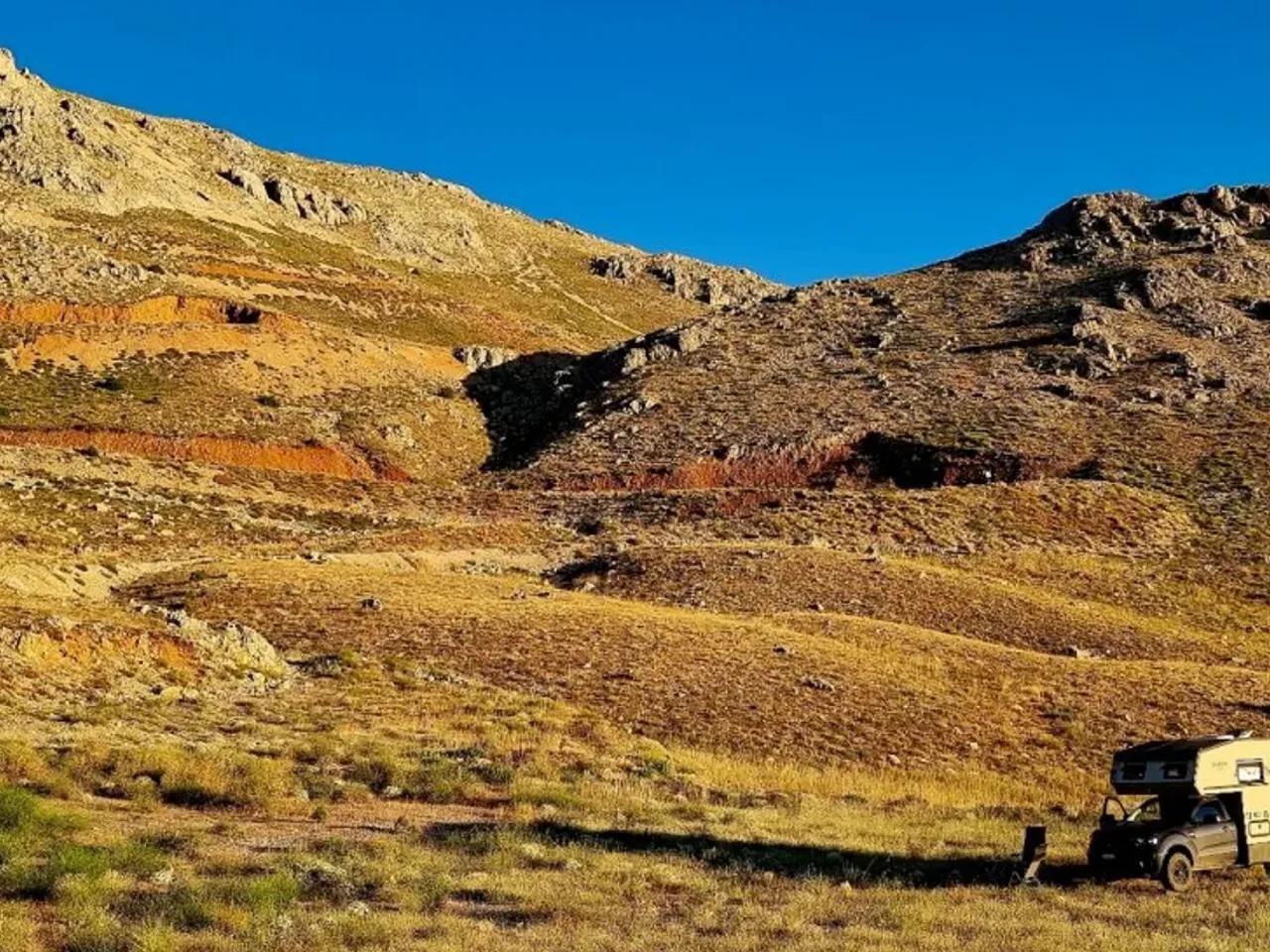 Karadut, - 1