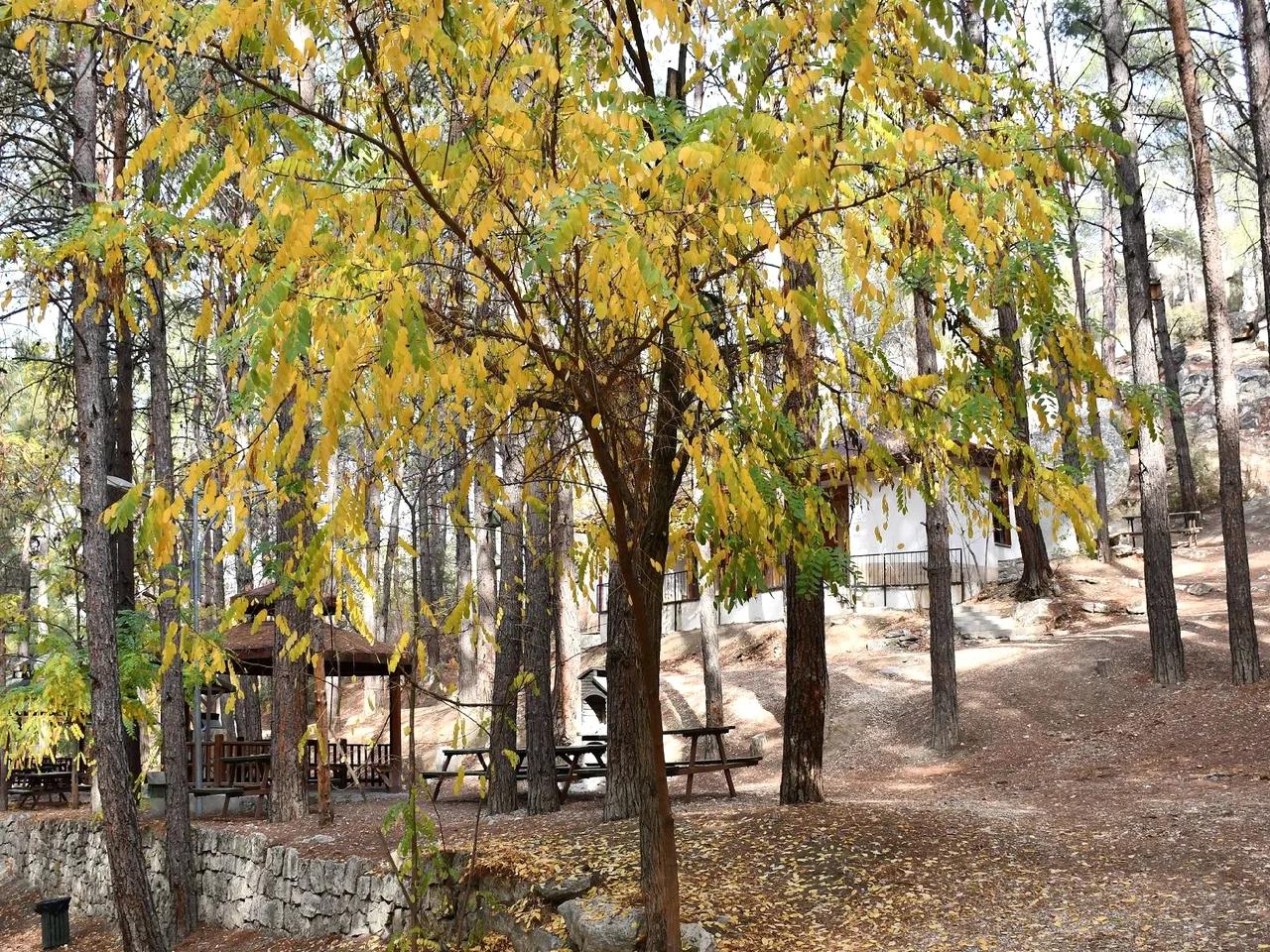 Karaekşi Tabiat Parkı - 4