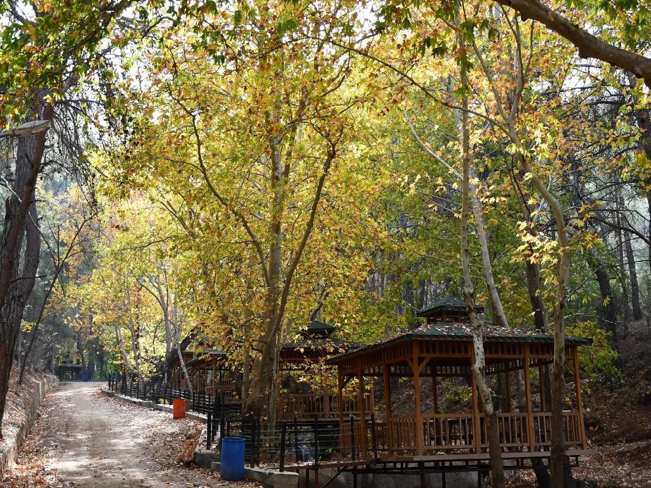 Karaekşi Tabiat Parkı - 3