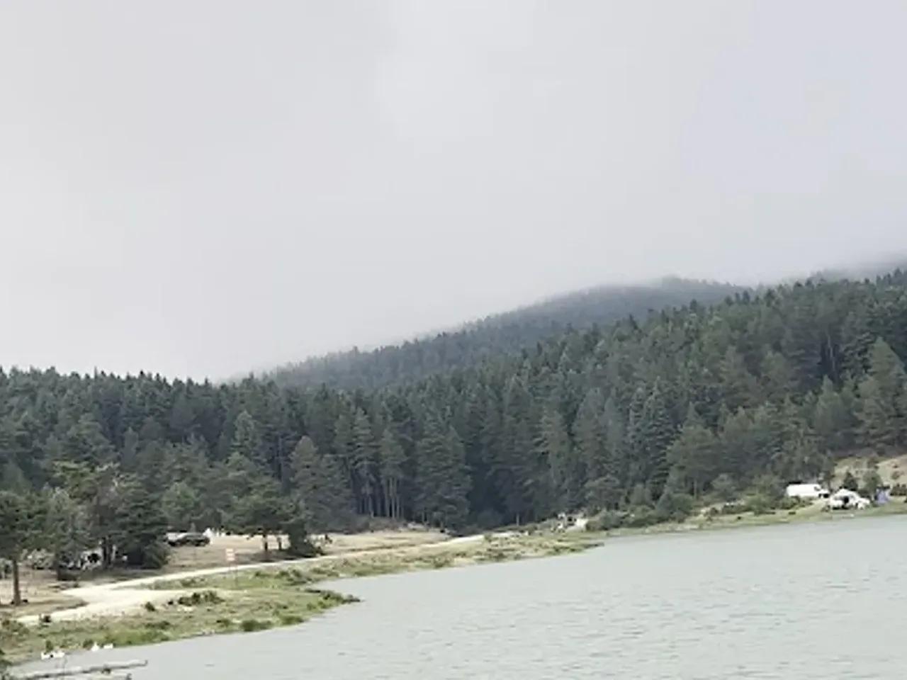 Karagöl Yaylası Sarıçamı Tabiat Anıtı - 2