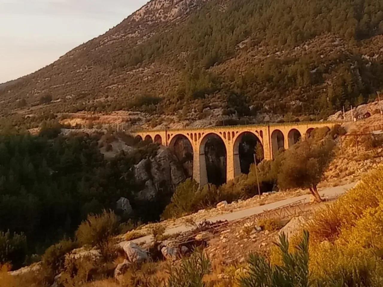 Karaisali,Kıralan Köyü Yolu - 1