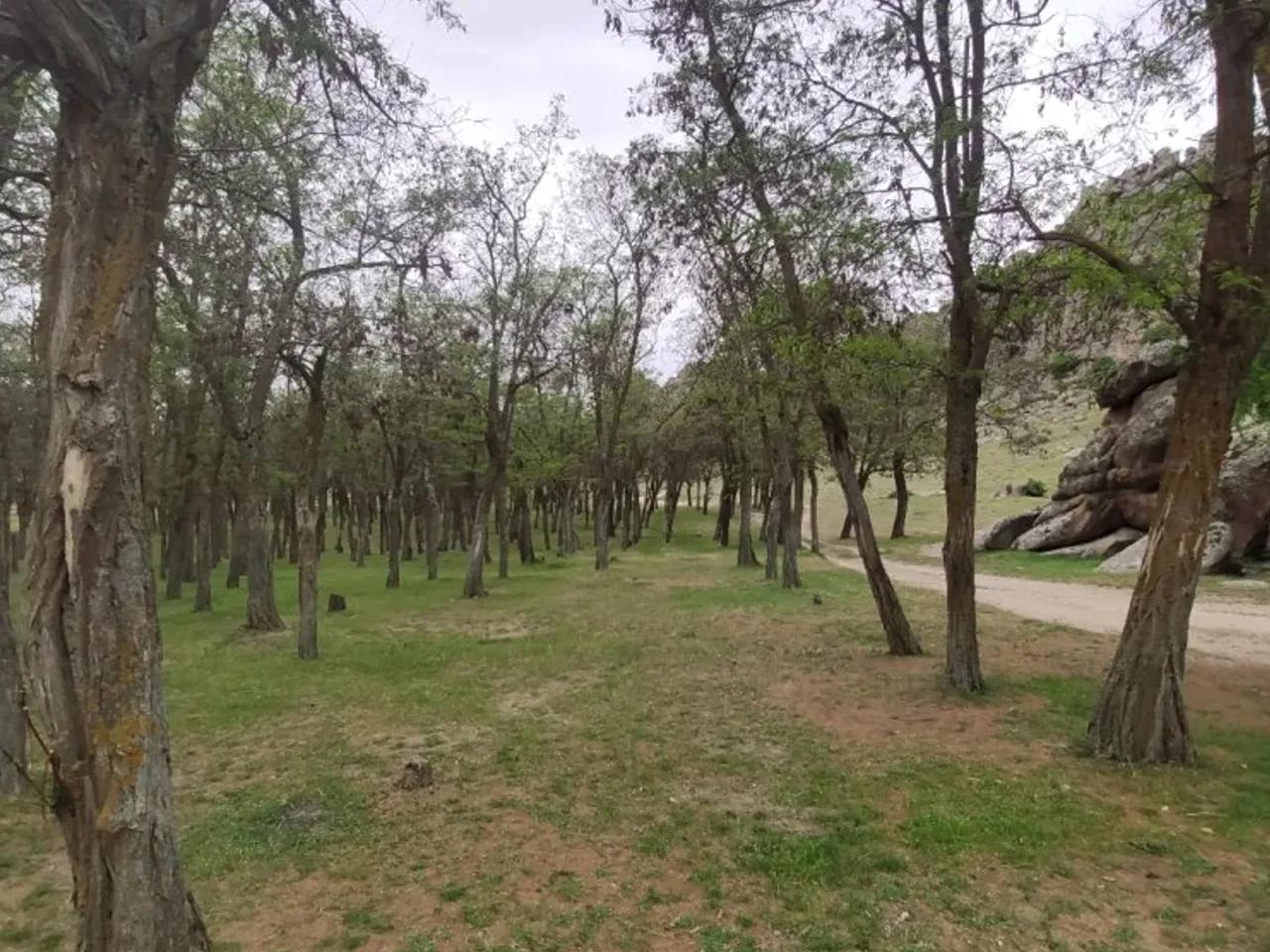 Karakaya Köyü İç Yolu - 1