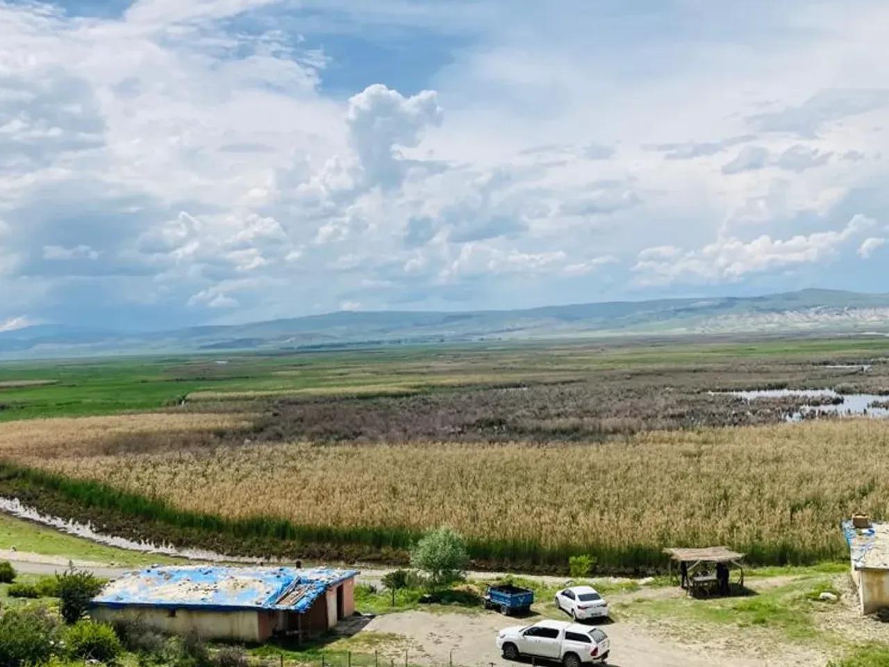 Karamık Sazlıkları Sulak Alanı - 2
