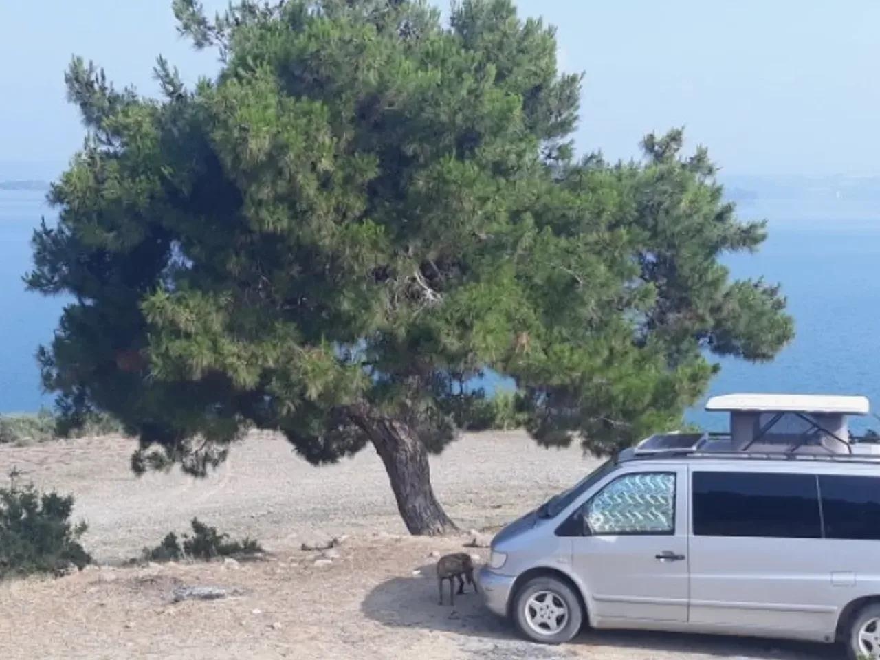 Karayusuflu Köyü Yolu - 1