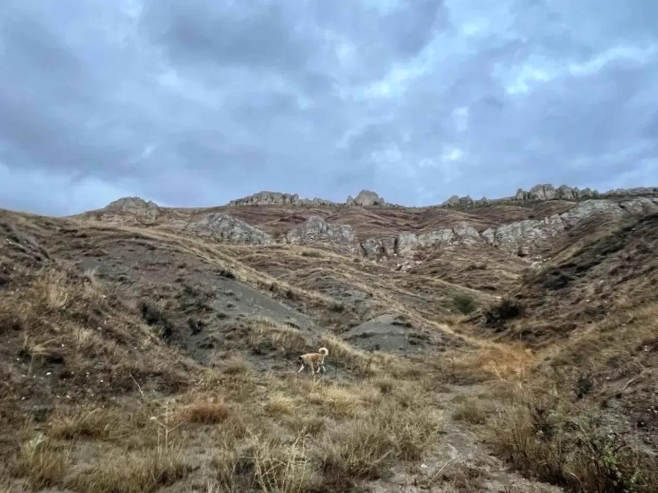 Kardeşler, - 1