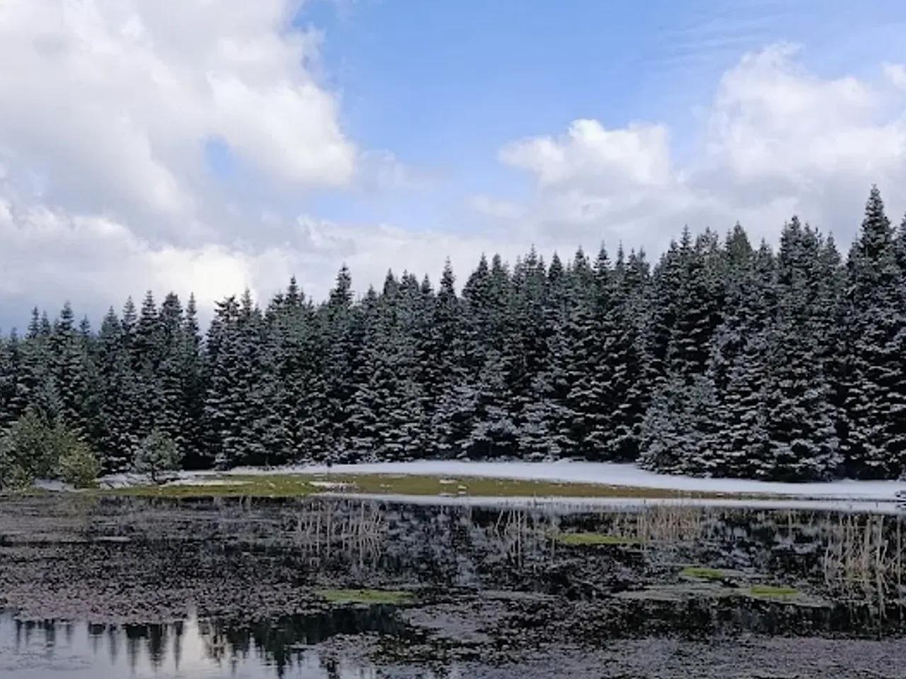 Kargalı Gölcük Tabiat Parkı