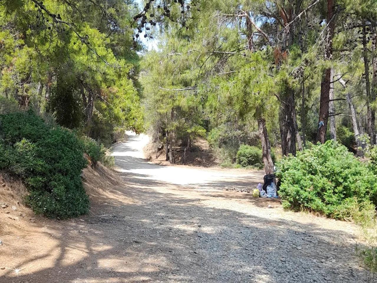 Karşı AKBAŞ Koyu - 2
