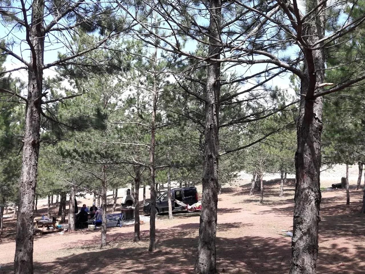 Karşıyaka Tabiat Parkı - 2