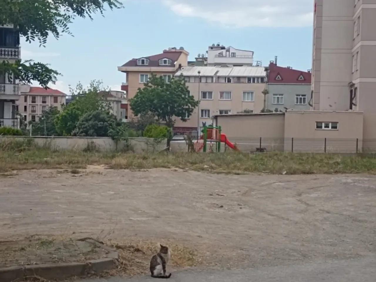Kartal,25 Nar Sokak - 1