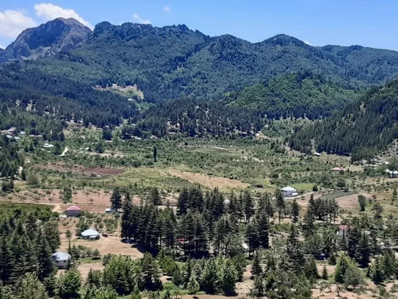 Kartalkayası