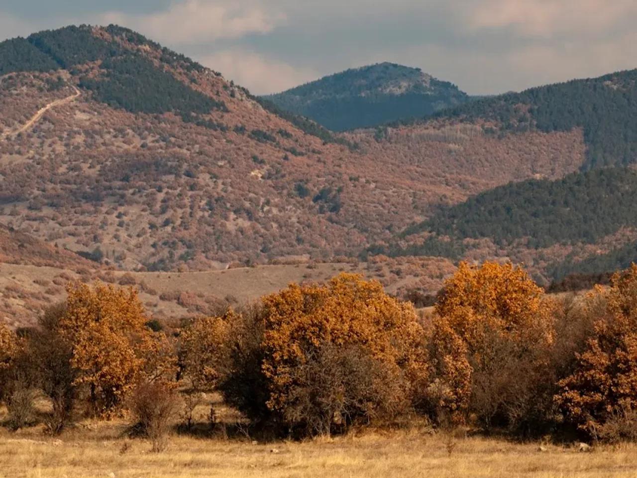 Kartaltepe Tabiat Parkı (Ankara)