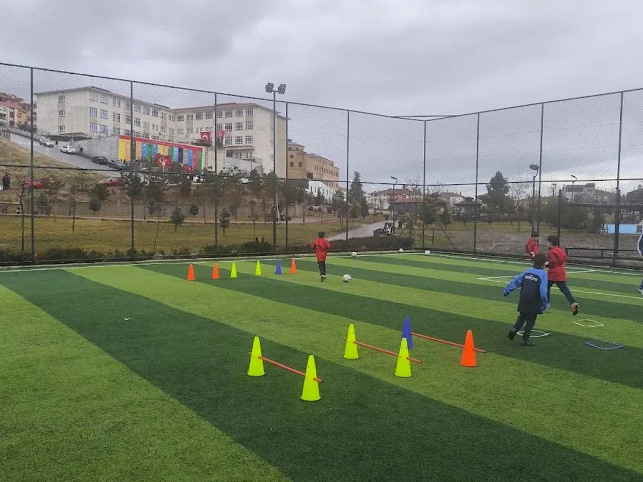 Kartaltepe Tabiat Parkı (Ankara) - 2