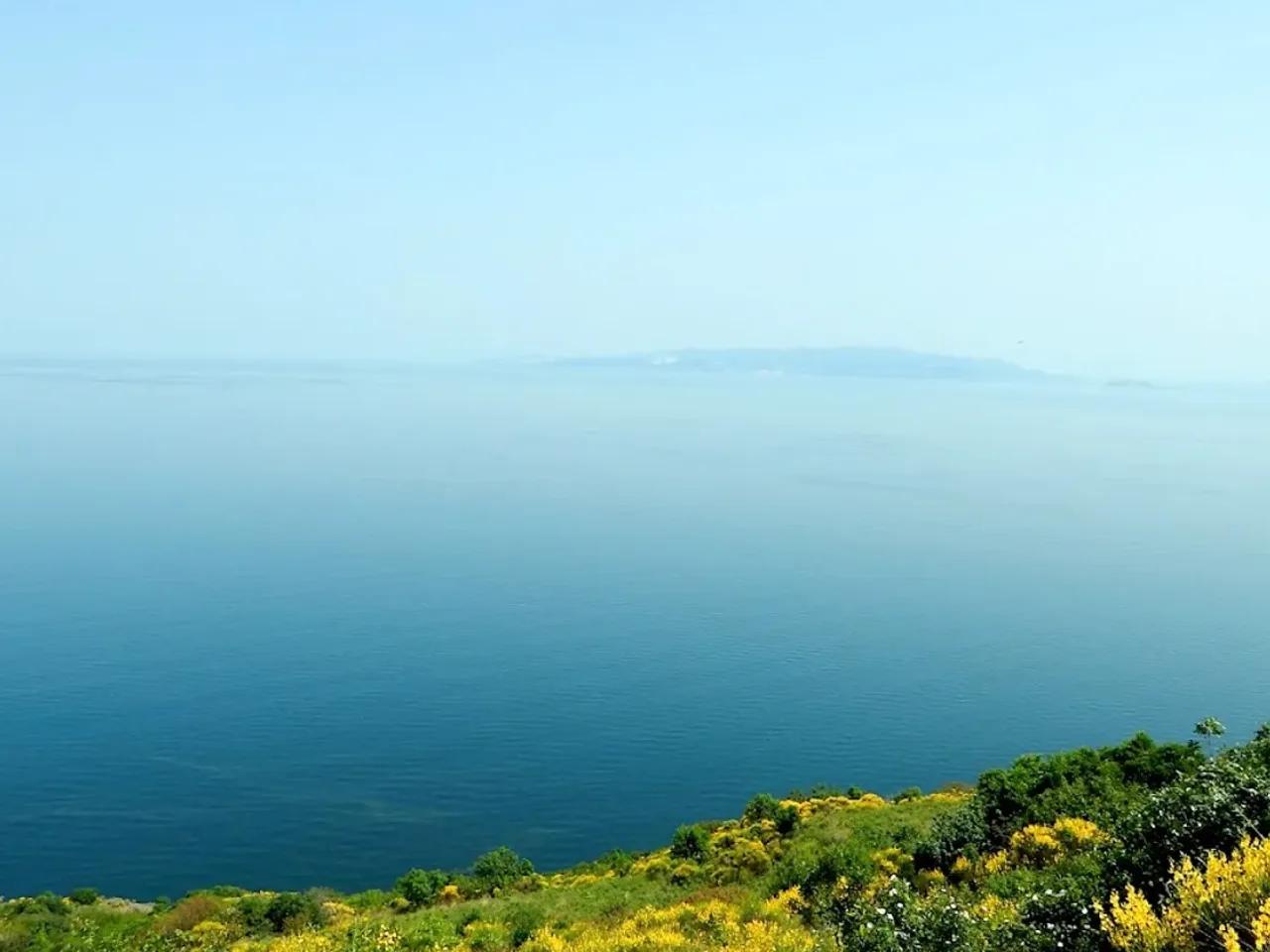 Kartaltepe Tabiat Parkı