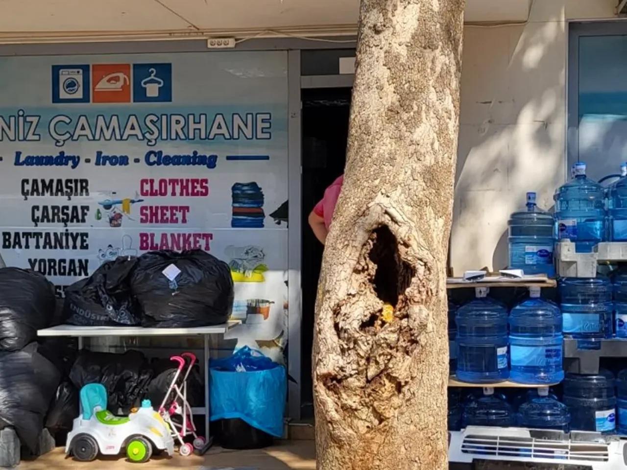 Kaş/Antalya, - 2