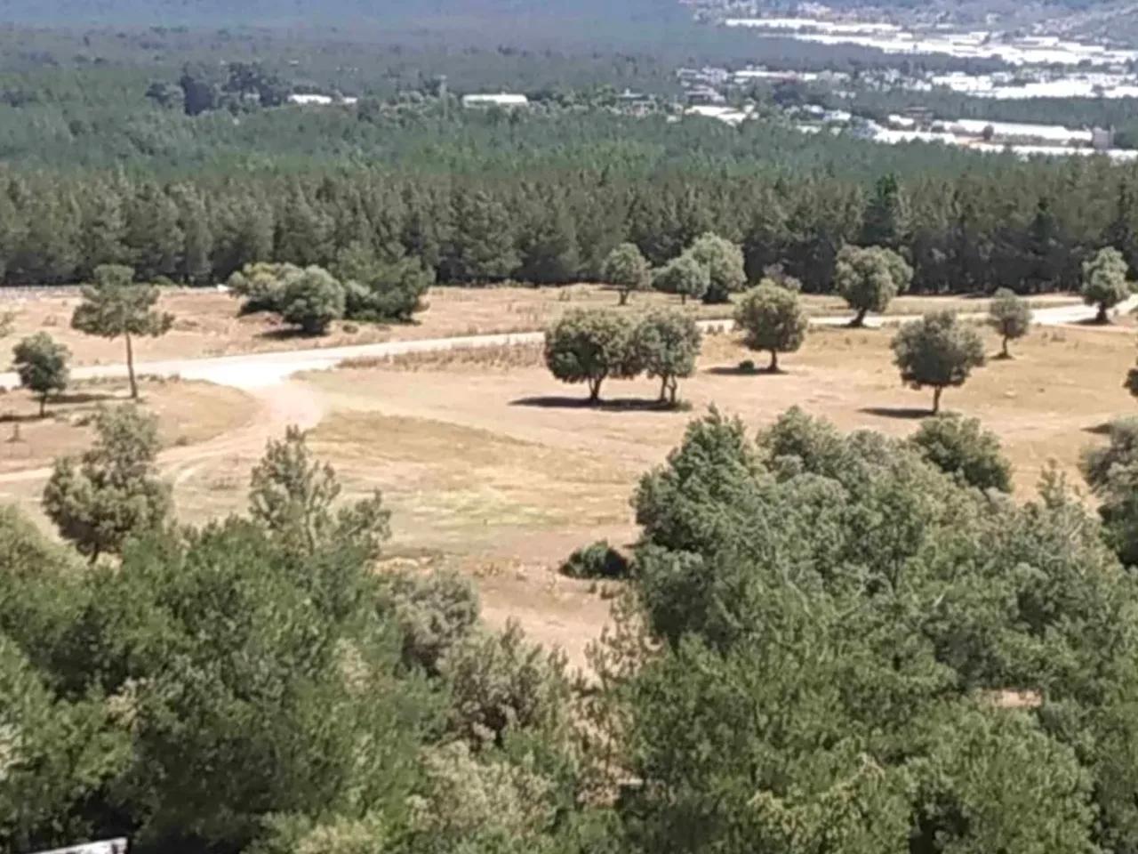 Kaş, - 1
