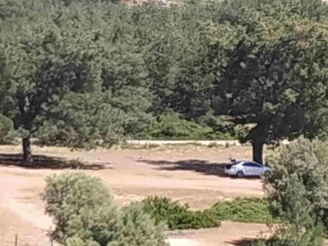 Kaş, - 2