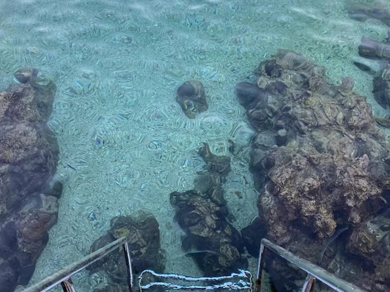 Kaş Belediyesi Kadınlar Plajı - 1