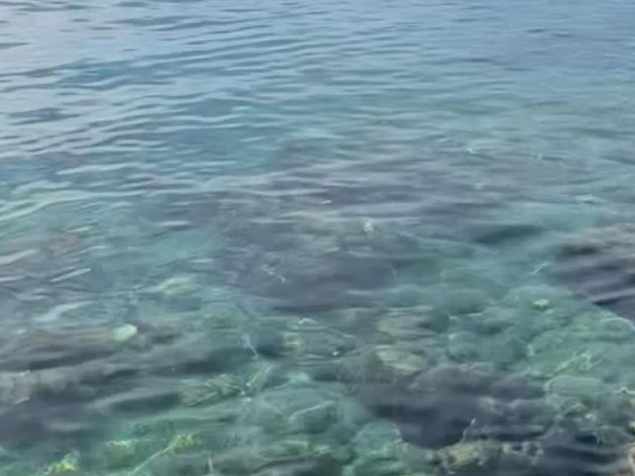 Kaş Belediyesi Kadınlar Plajı - 3