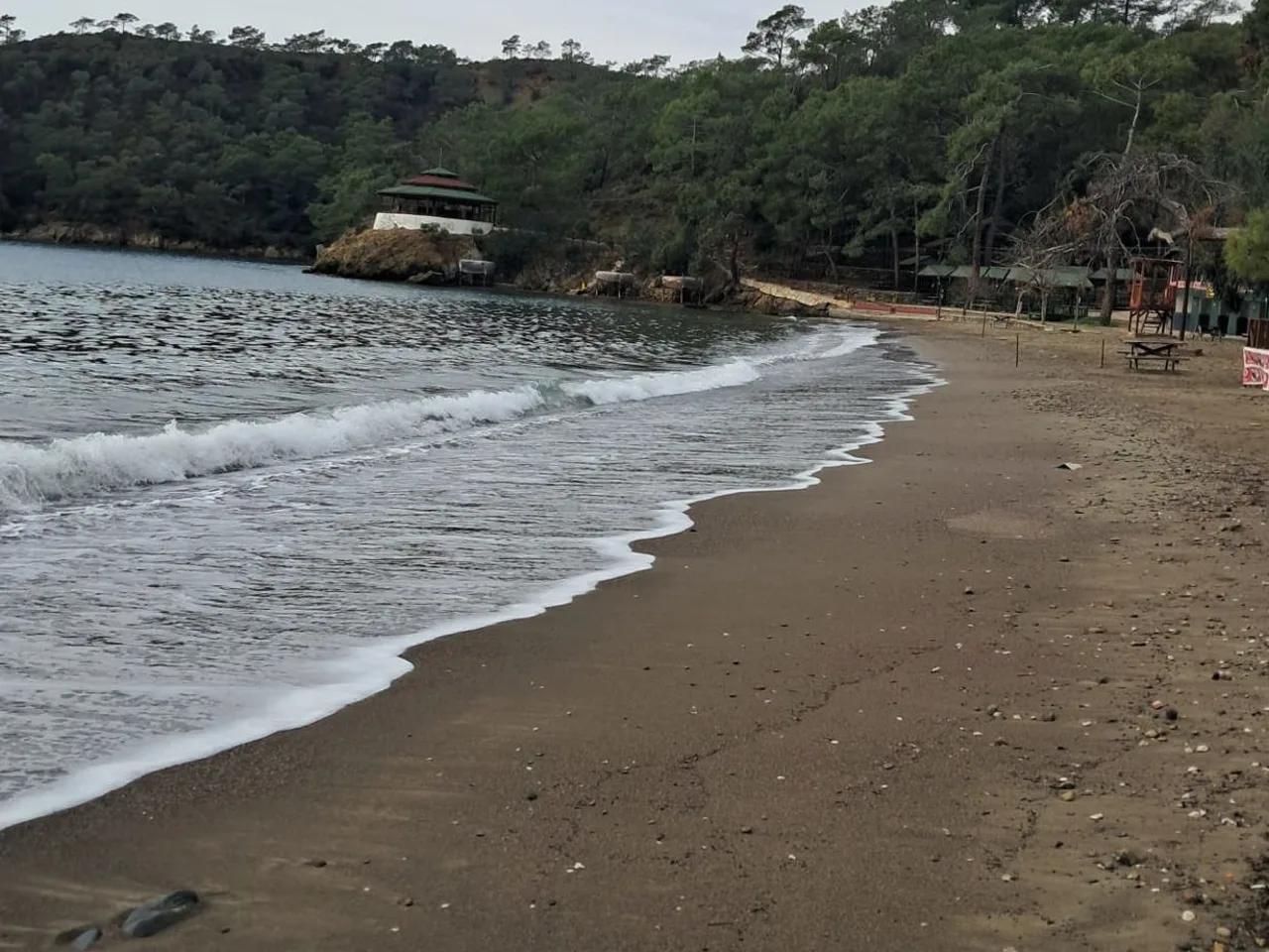 Katrancı Plajı