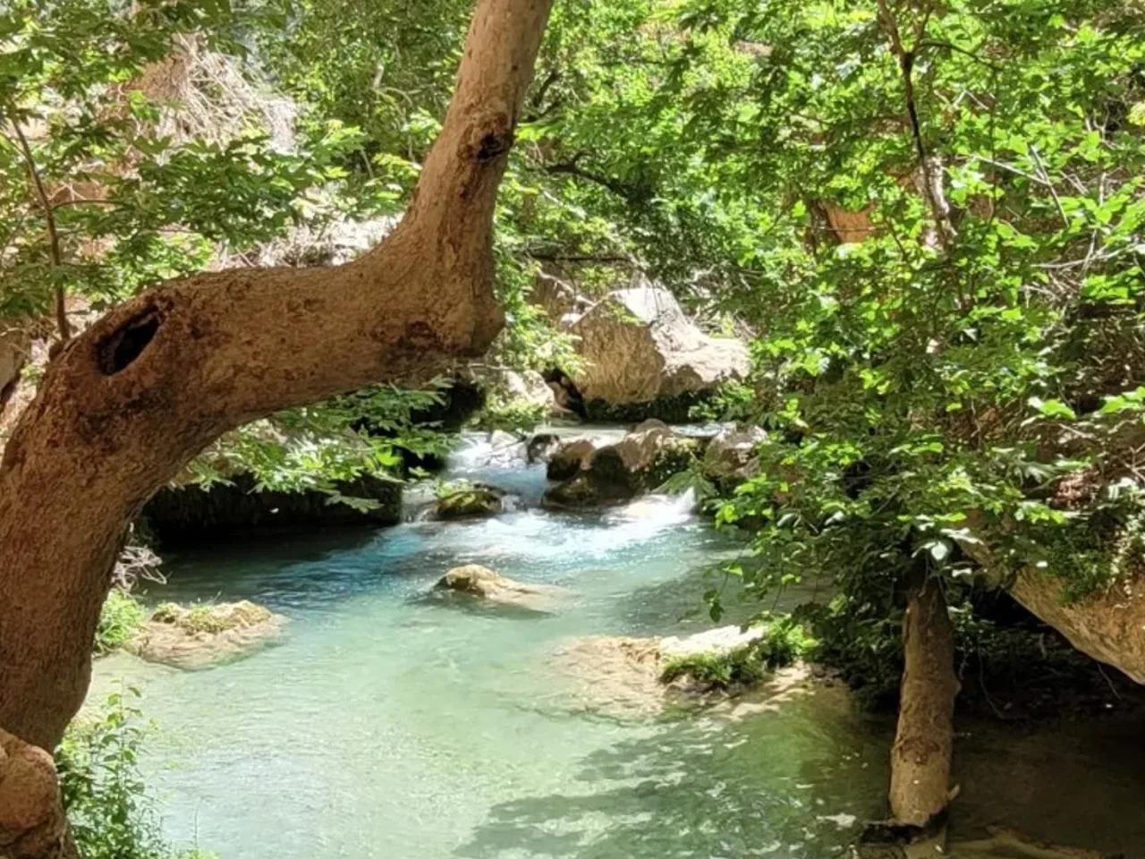 Kayacı, - 2