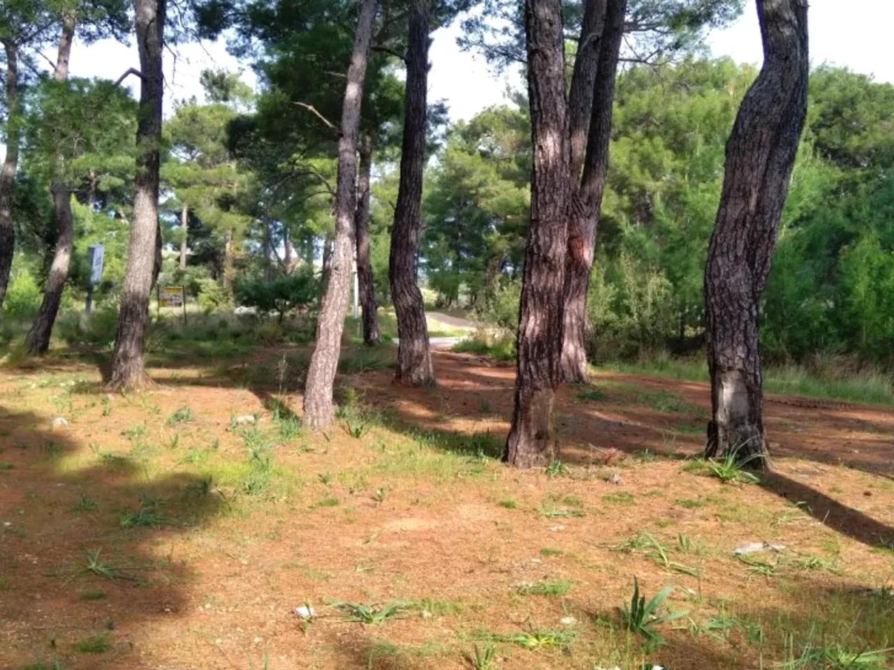 Kayadibi, - 1