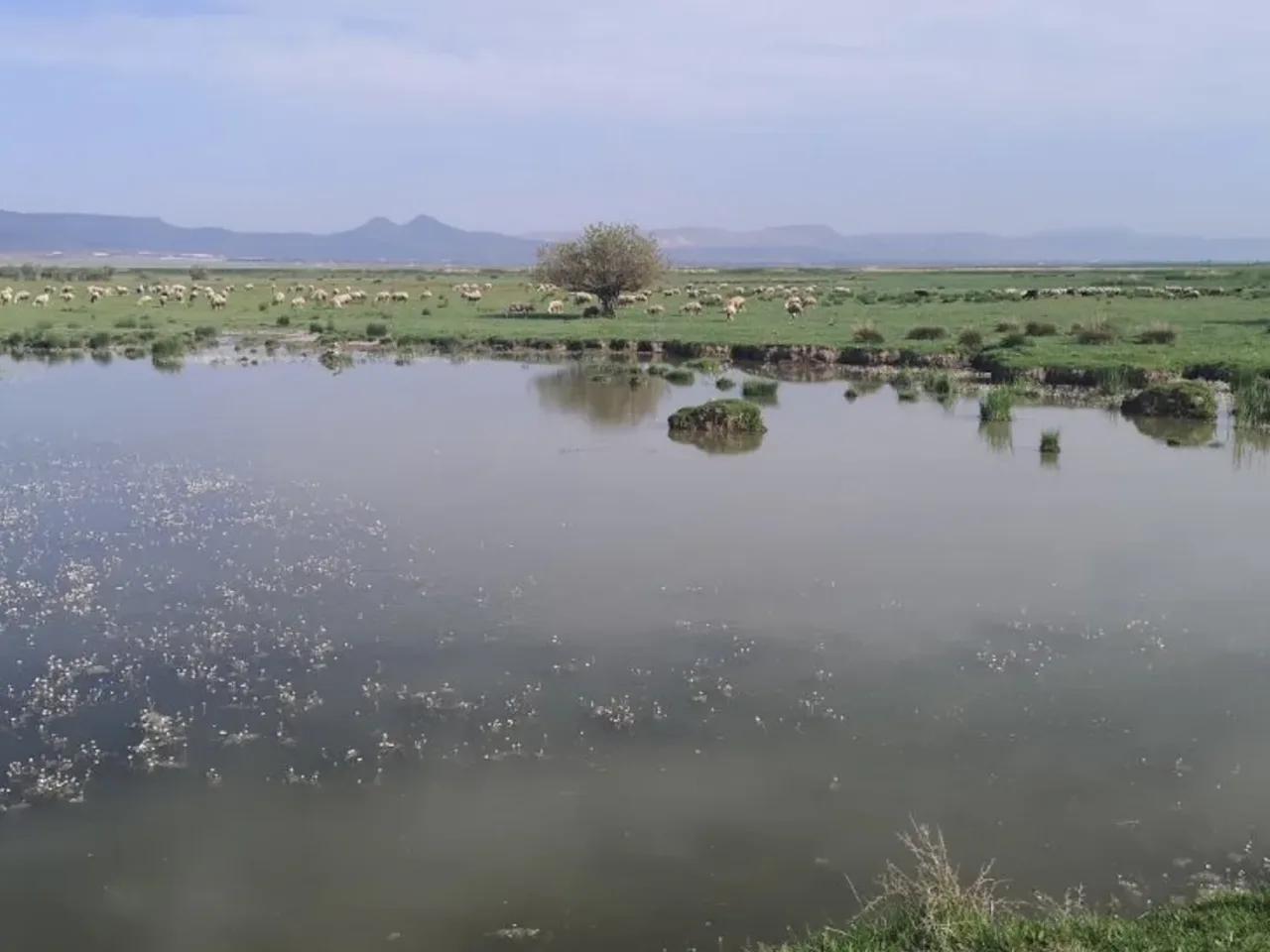 Kayseri, - 2