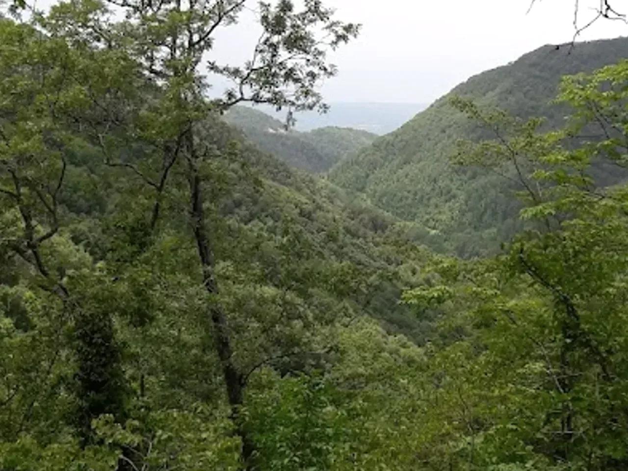 Kazlupınar Yaylası