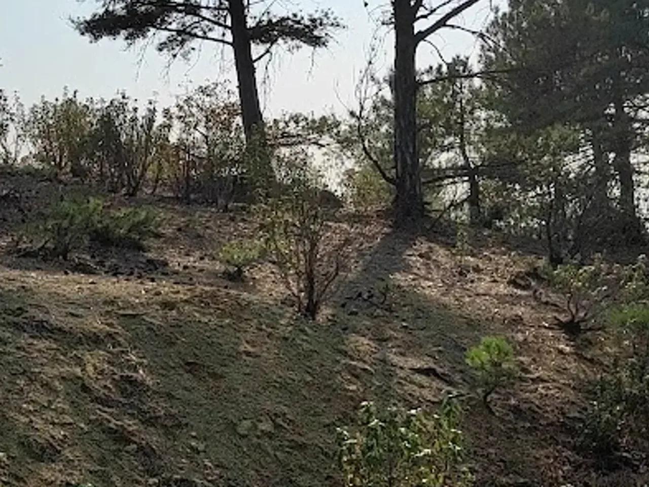 Kelebekler Vadisi Tabiat Parkı (Ankara) - 3
