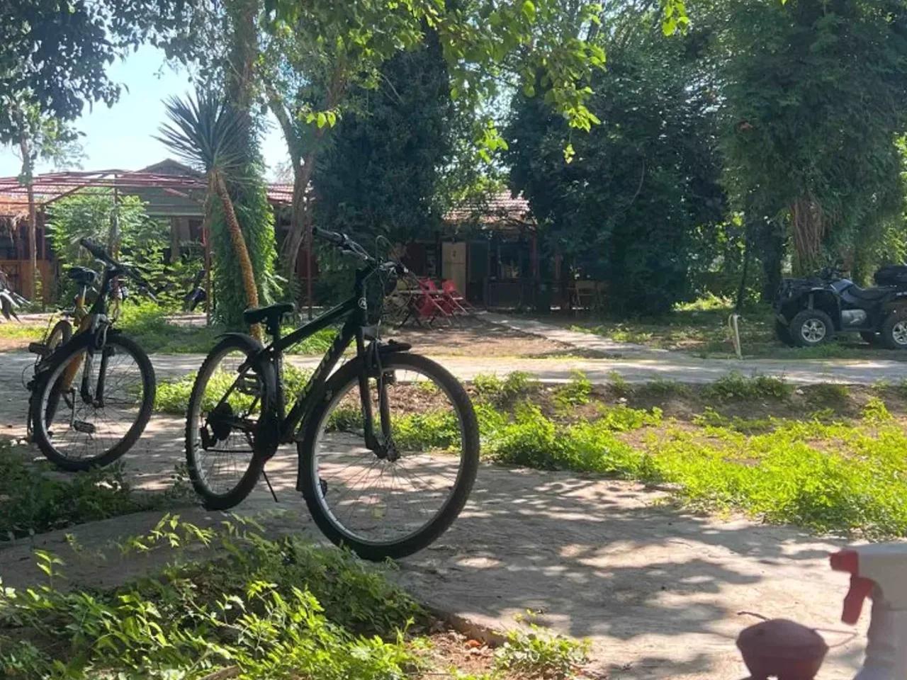 Kemer,No:34 Rüştü Egel Sokak - 1