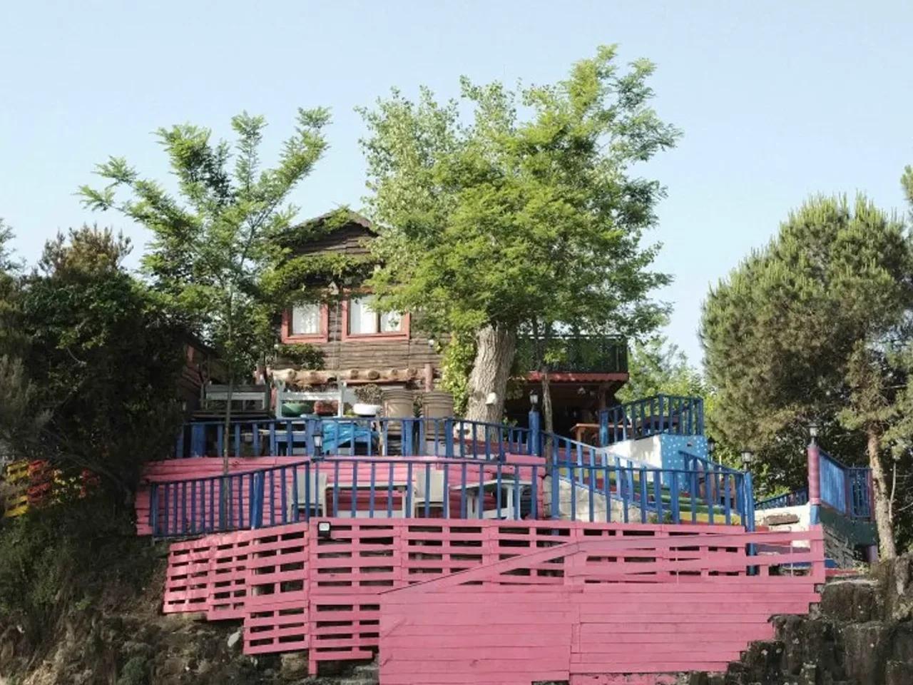 Keşap  ,No:15 Kulak Mevkii - 3