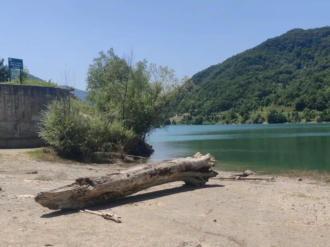 Kestaneyanı, - 2