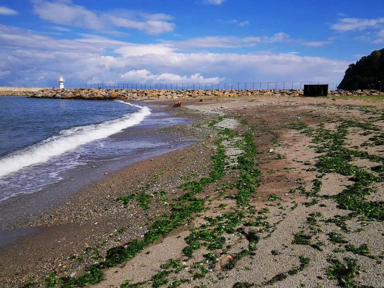 Kilimli Halk Plajı - 3