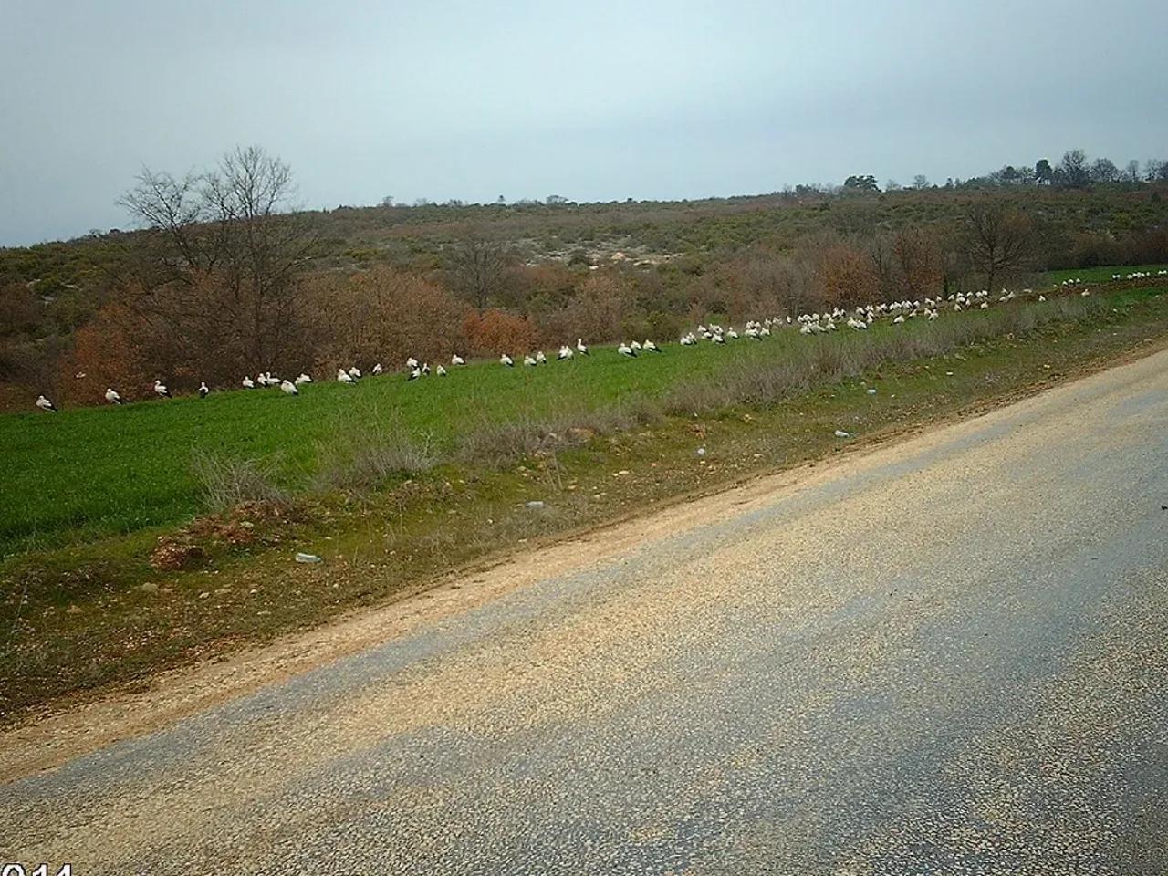 Kınık Şelalesi Tabiat Parkı - 2