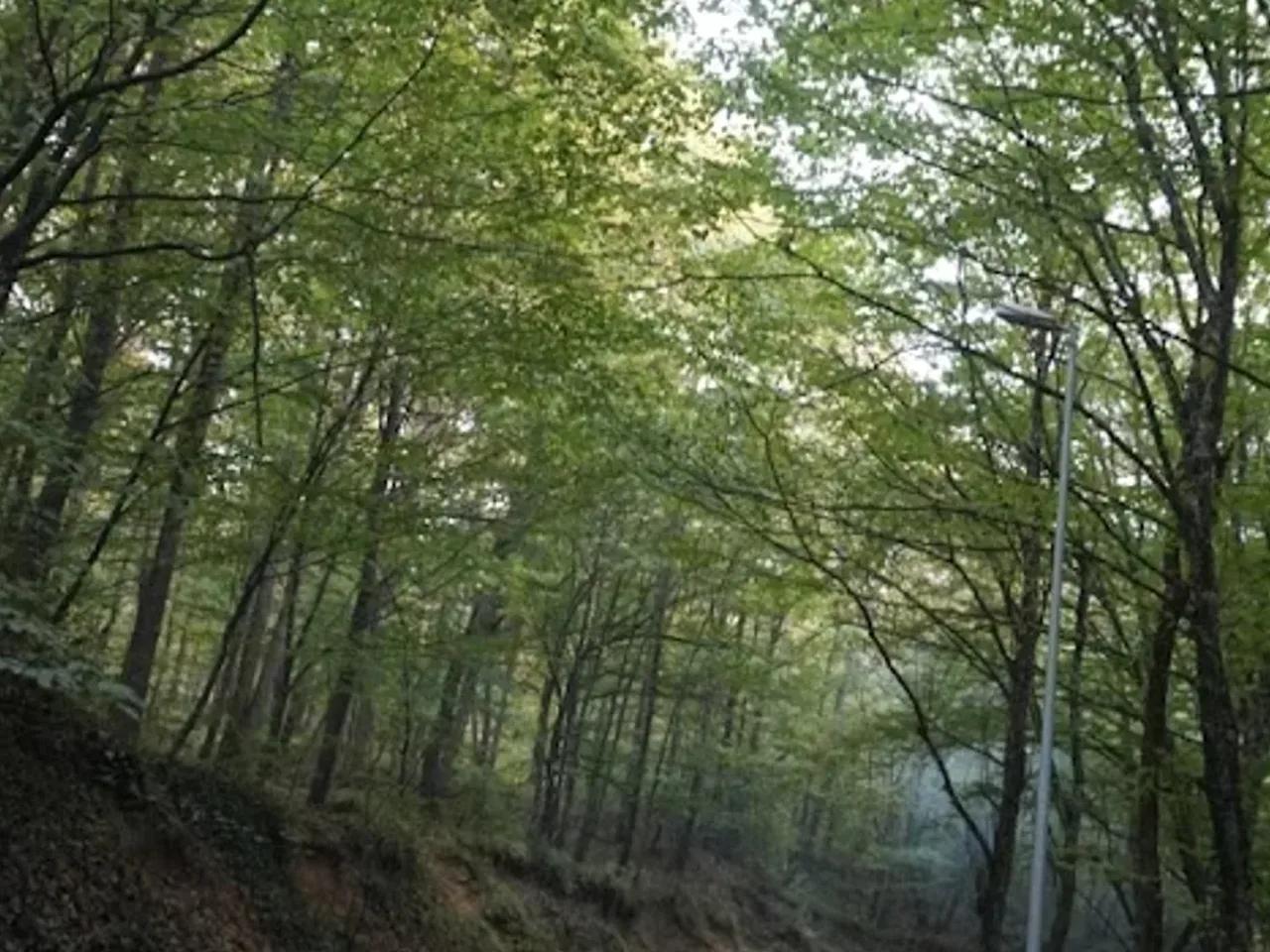 Kirazlıbent Tabiat Parkı