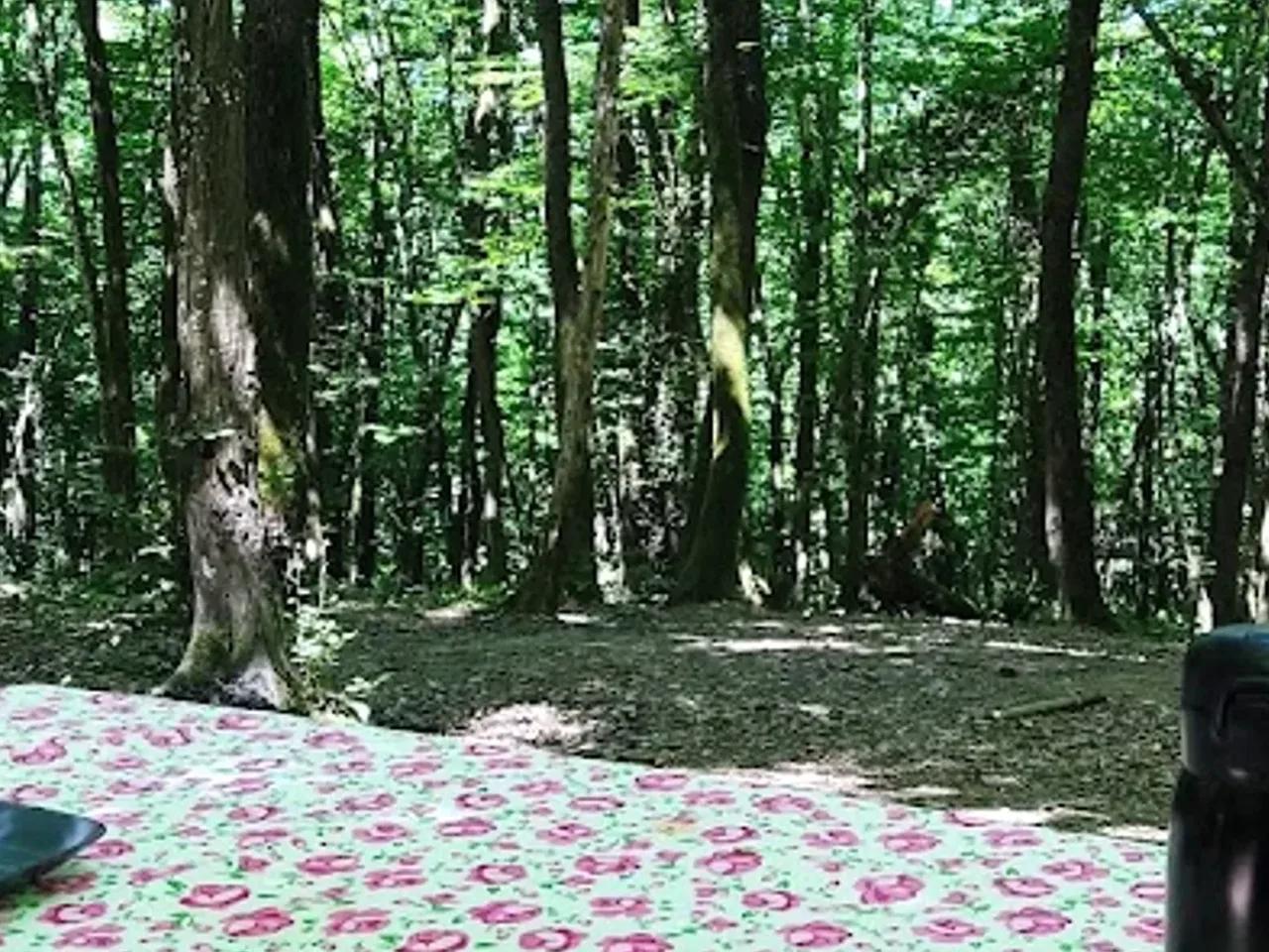 Kirazlıbent Tabiat Parkı - 2