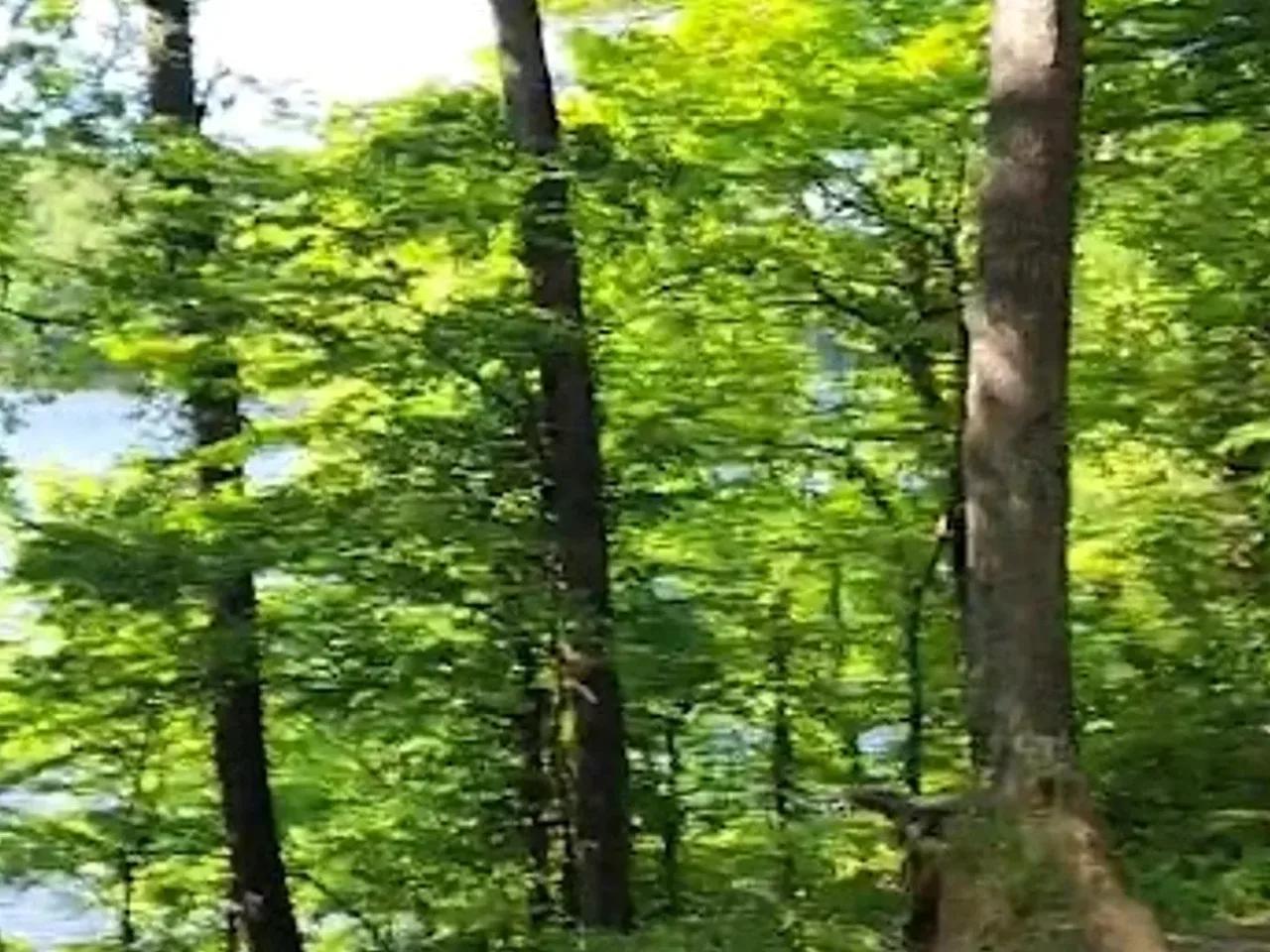 Kirazlıbent Tabiat Parkı - 3