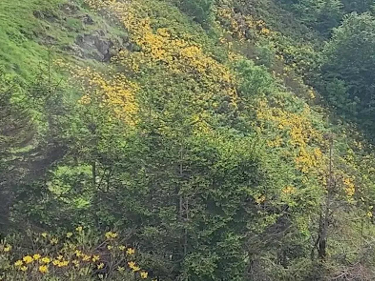 Kırkharman Yaylası - 2