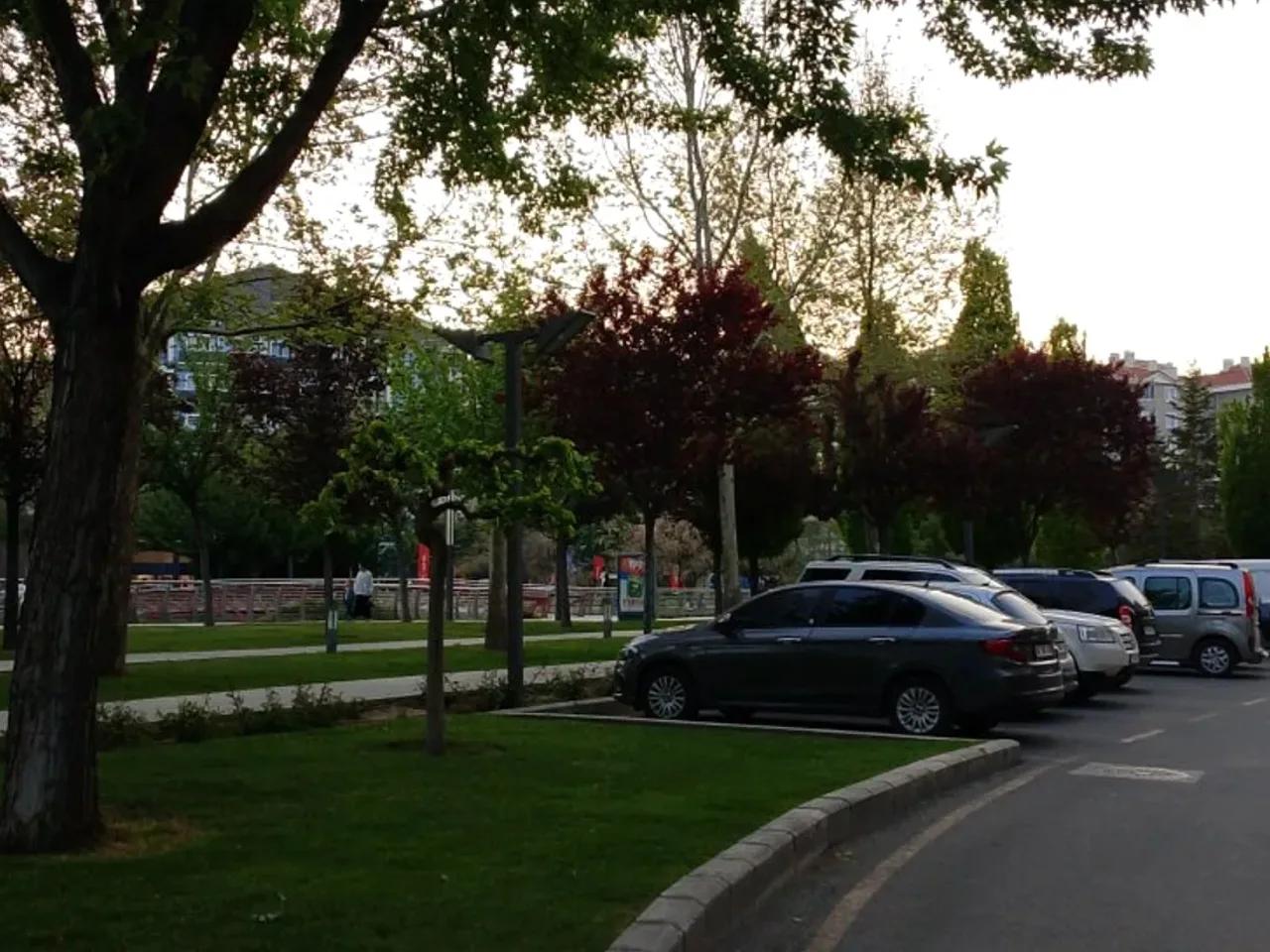 Kırşehir Merkez,28a 724. Sokak - 3