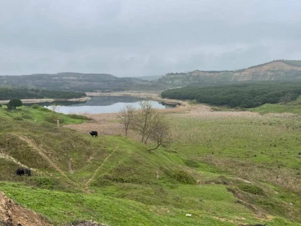 Kısırkaya, - 1