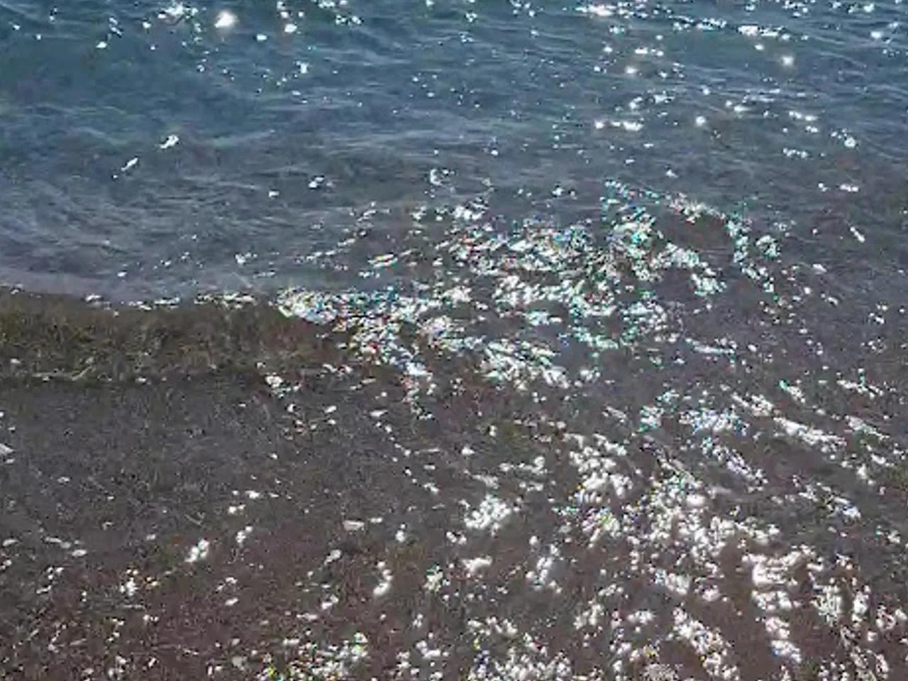 Kızılağaç Halk Plajı - 3