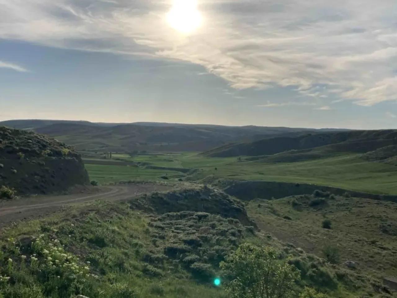 Kızılkoyunlu, - 2