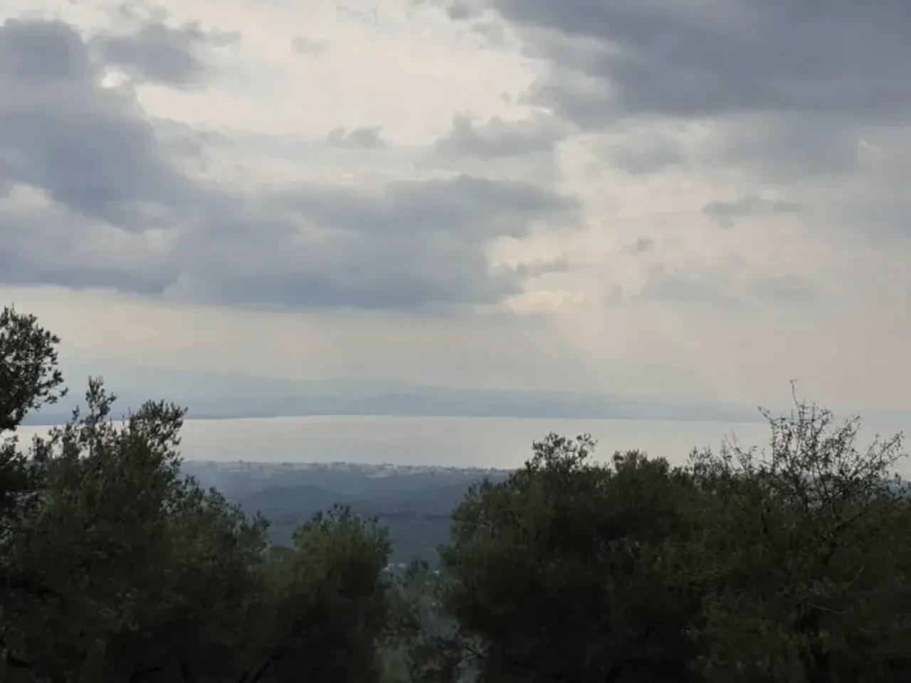 Kleopatra Koyu - 2