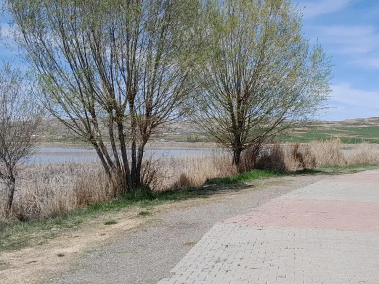 Koç, - 2