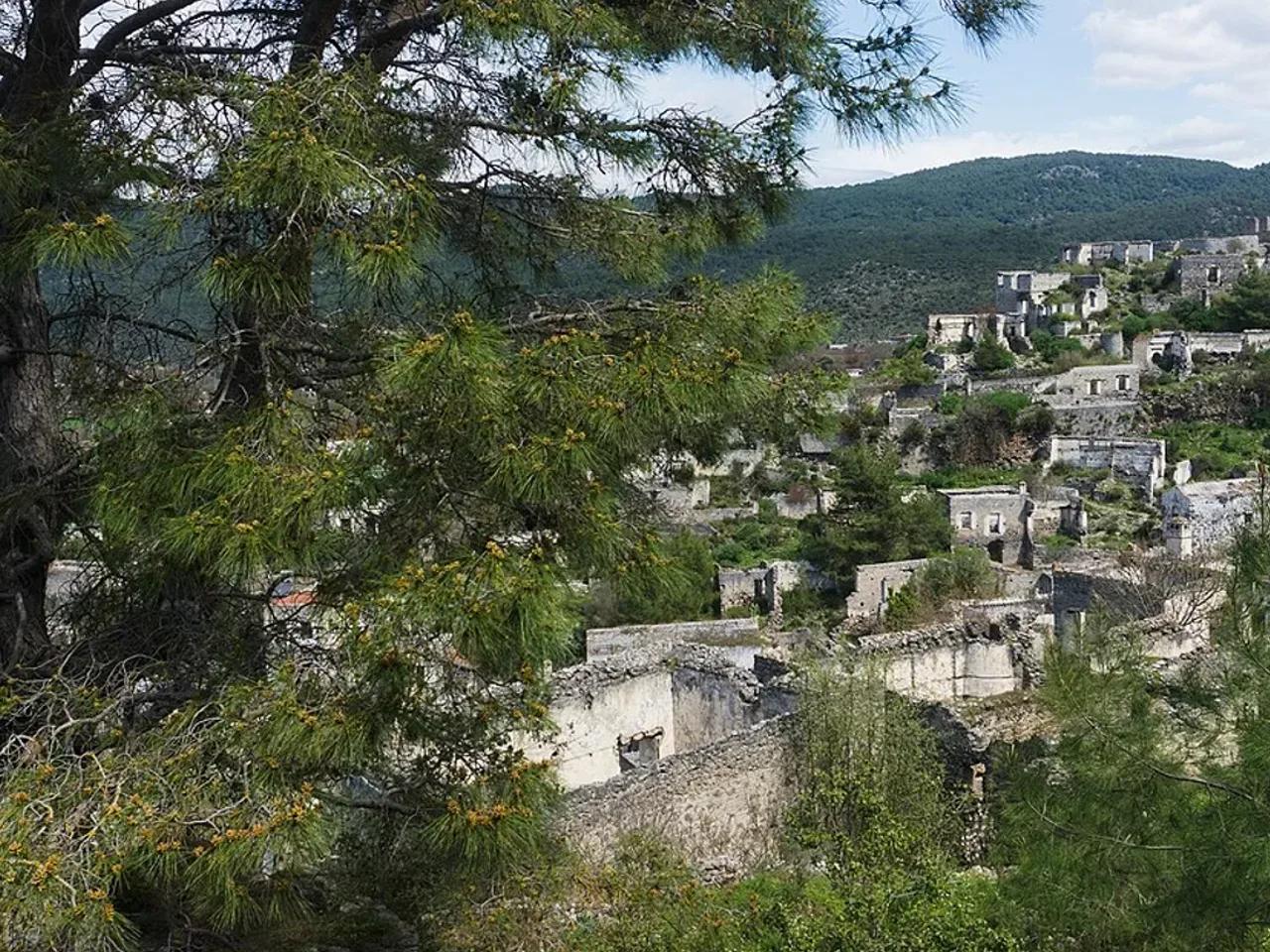 Koca Sedir Tabiat Anıtı - 2