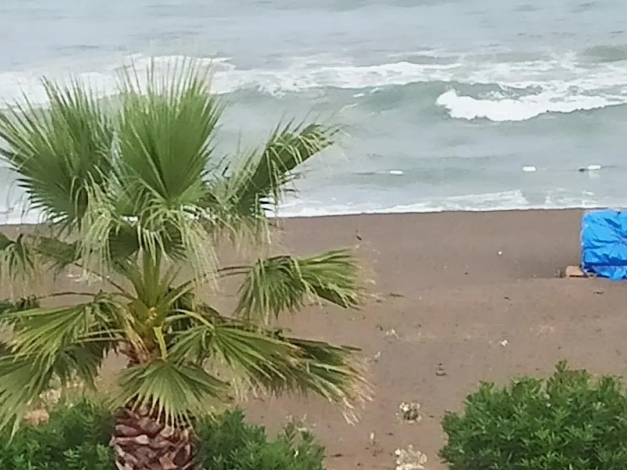 Kocaali Merkez Public Beach - 4
