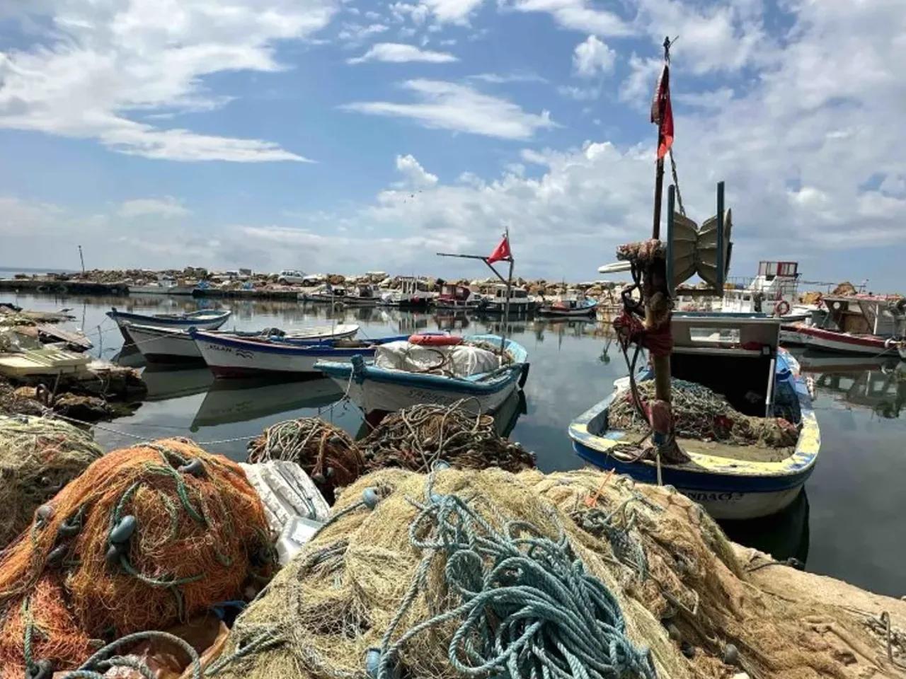 Kocaçeşme Köyü İç Yolu - 3