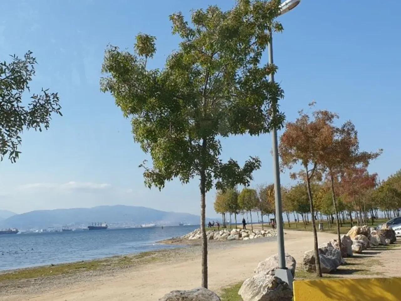 Kocaeli,38 Hatıra Sokak - 1