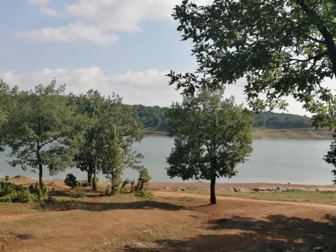 Kocaeli, - 2