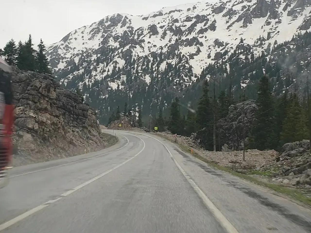 Kocakoru Ormanı Tabiat Parkı - 2